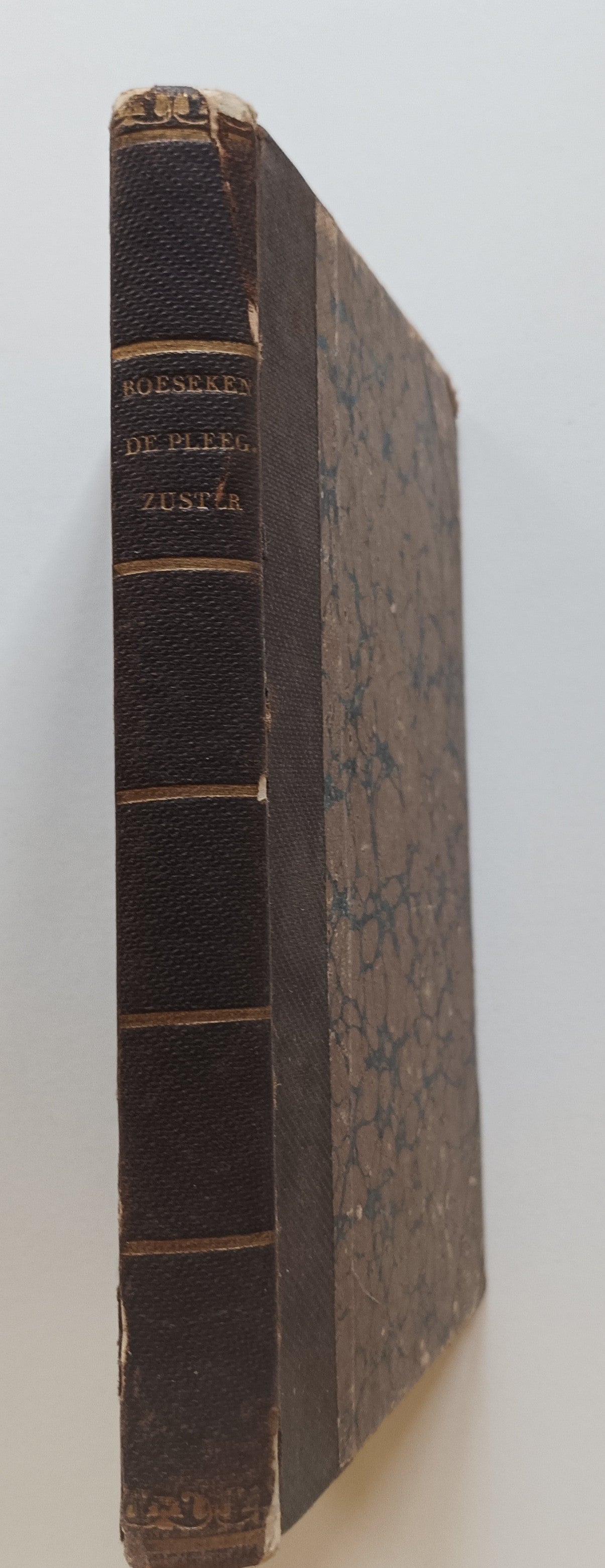 M.A.A. Boëseken. De pleegzuster. Met een voorberigt van W.H. Warnsinck.
