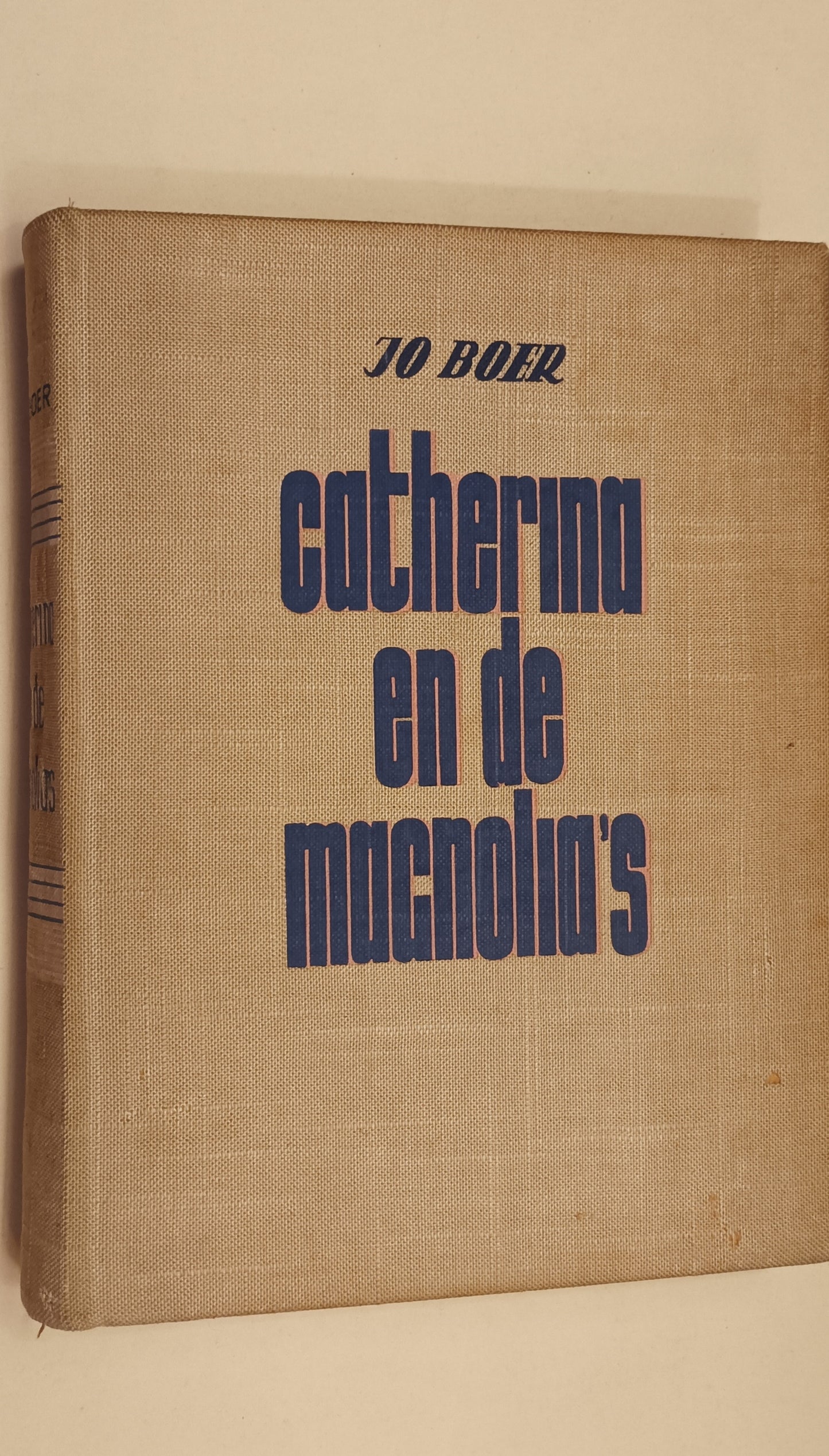 Jo Boer. Catherina en de magnolia’s. Een roman uit Italië.