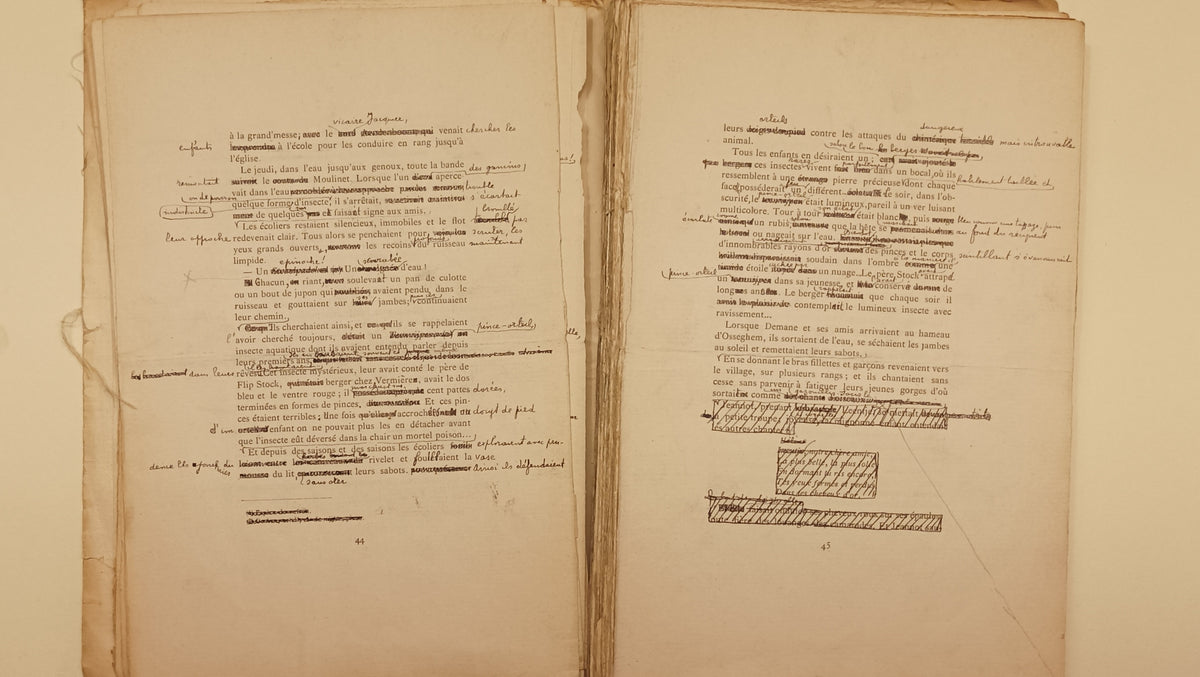 [Manuscript] Sander Pierron. ‘Manuscrit de: Les rides de l’eau (edite en 1914). Texte revu et corrige de Berthille de Haegeleere (1896).’