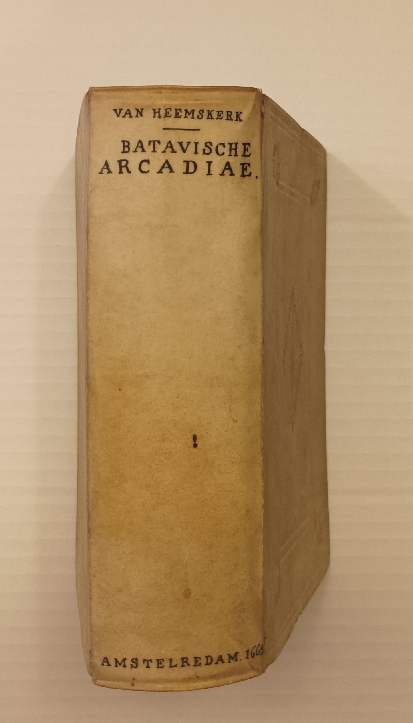 J. van Heemskerk. Batavische Arcadia, waer in, Onder ‘t Loof-werck van Liefkooserye, gehandelt werdt van den oorspronck van ‘t oudt Batavien (...).