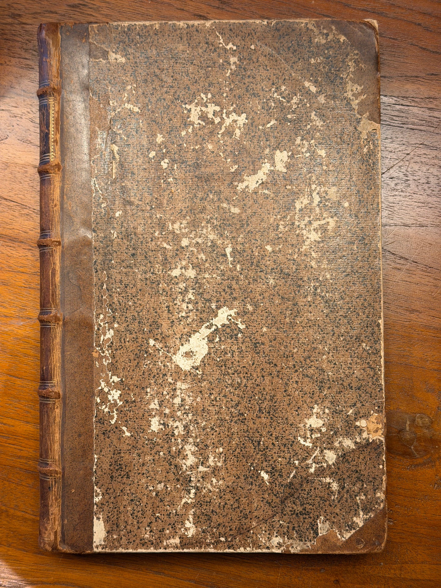 Hollandse Jaar-Boeken of Rijm-Kronijk van MELIS STOKE. 1699