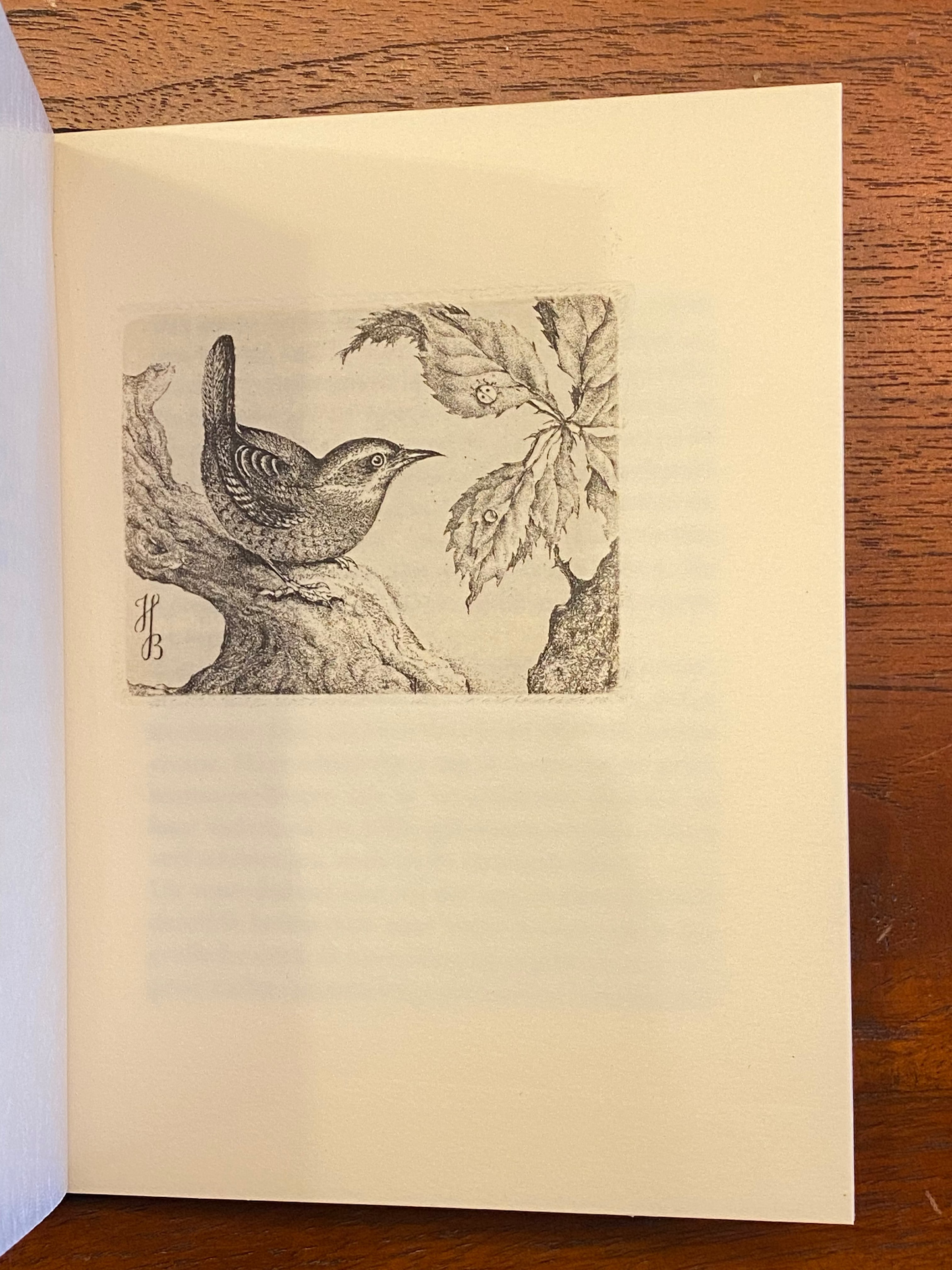 HERBER BLOKLAND LUDMILA JIRINCOVÁ Tsjechisch kunstenares 1982