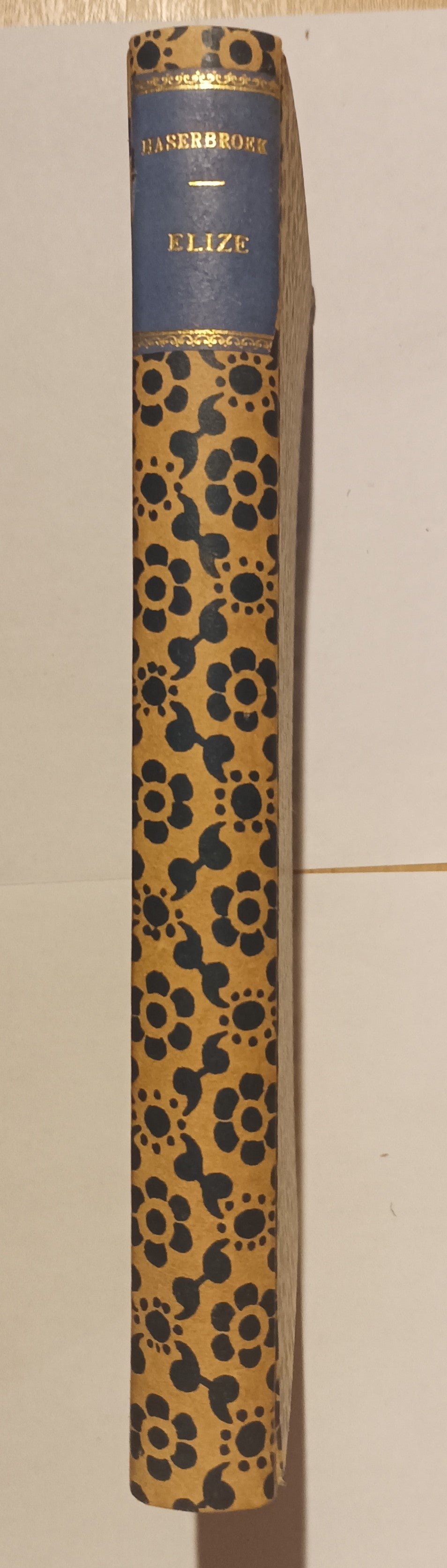 [Vrouwelijke schrijvers] ‘De schrijfster van Te laat’ [Elisabeth Johanna  Hasebroek] Elize.