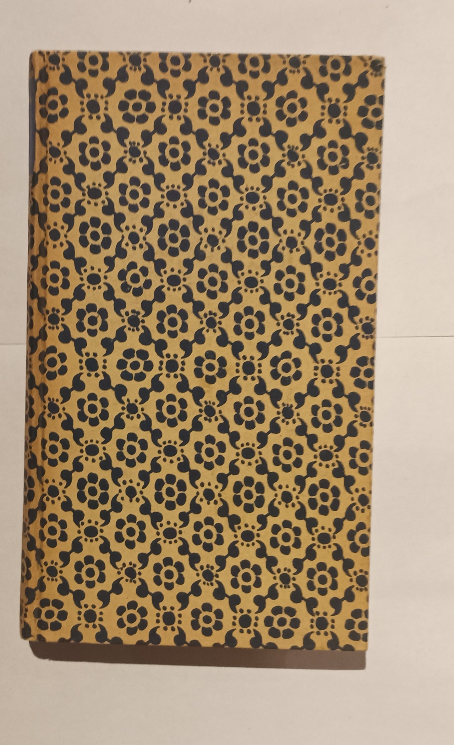 [Vrouwelijke schrijvers] ‘De schrijfster van Te laat’ [Elisabeth Johanna  Hasebroek] Elize.