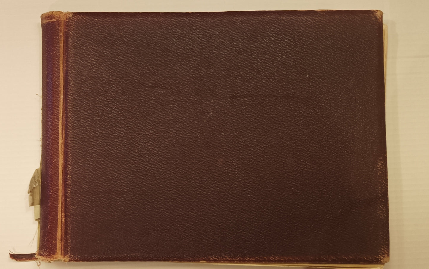 [Renaissance. Photography]. Album with ca. 60 mounted  photographic reproductions of mainly Renaissance artists from Rome and Firenze museums
