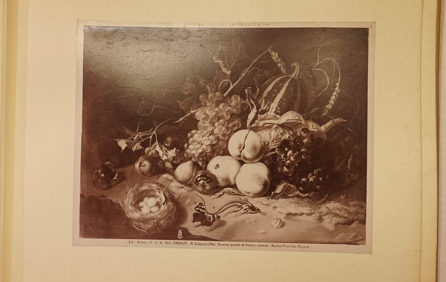 [Renaissance. Photography]. Album with ca. 60 mounted  photographic reproductions of mainly Renaissance artists from Rome and Firenze museums
