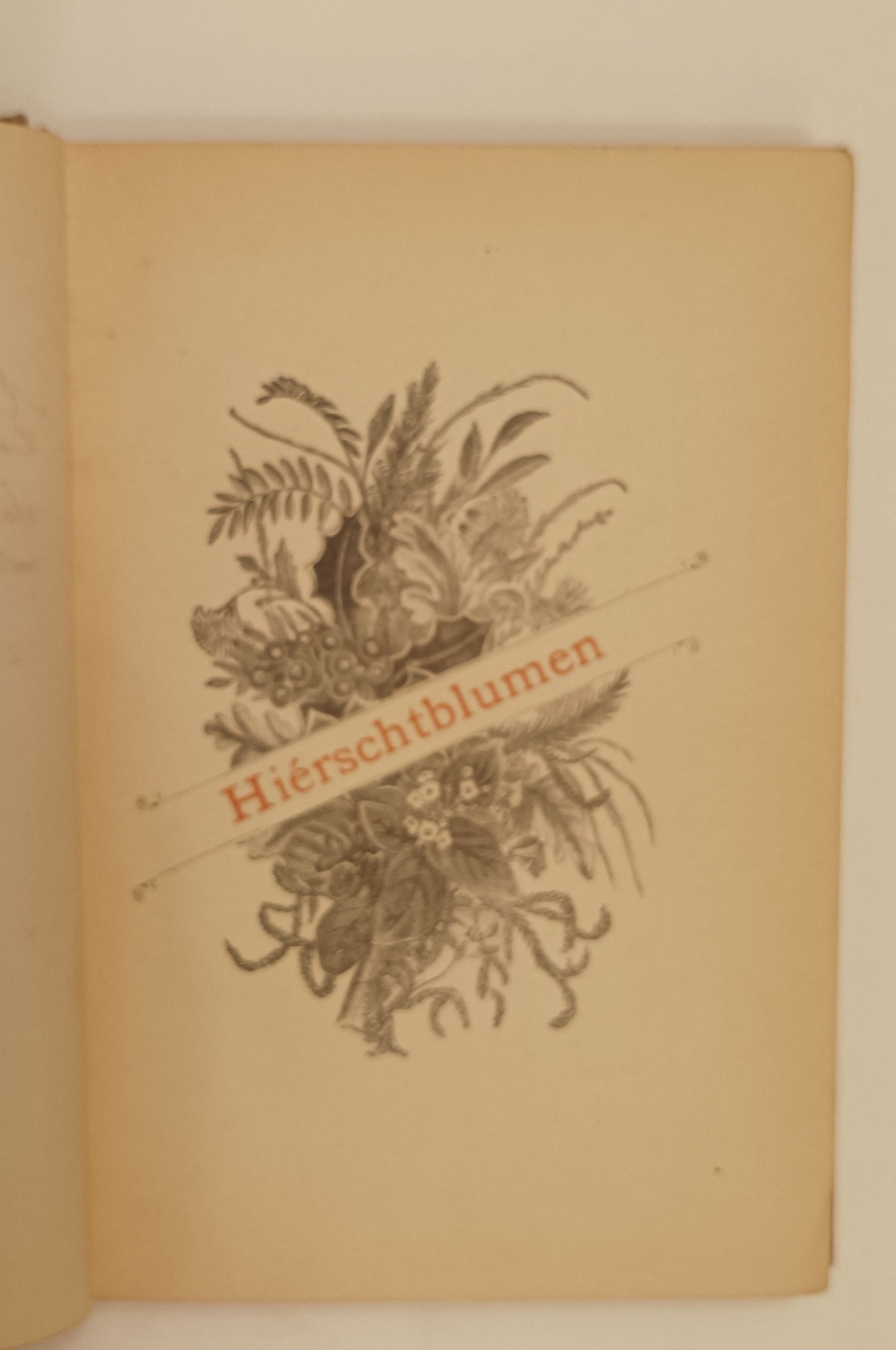 [Jacques Perk] Michel Lentz.  Hiérchtblumen