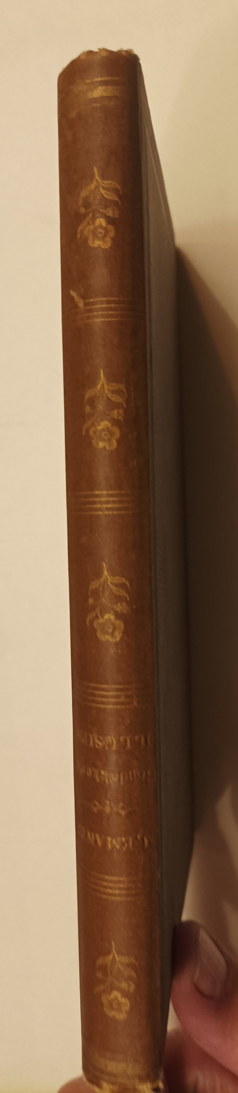 Marcellus Emants. Goudakker’s illusien.