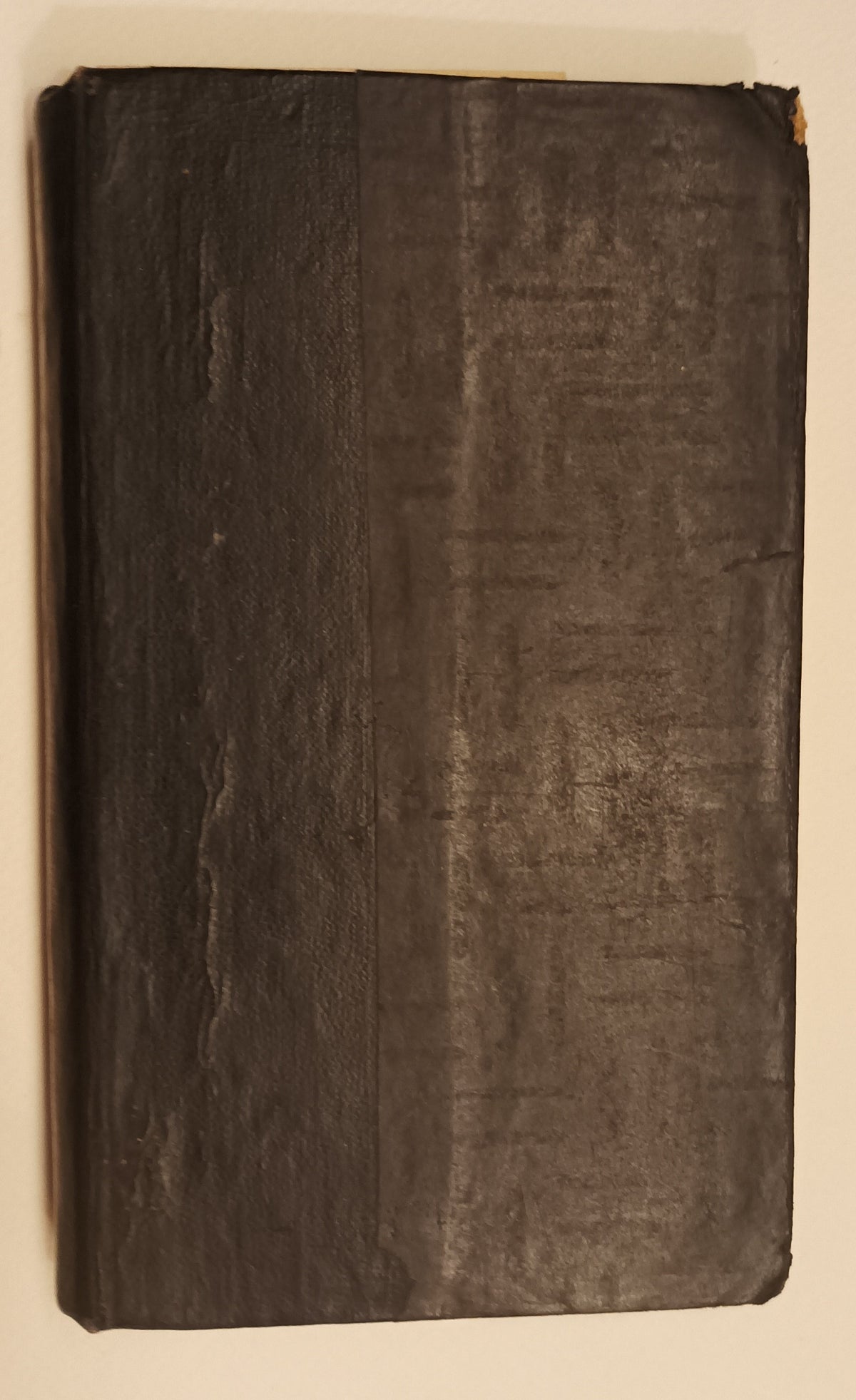 [Nedergothic] A.D. van Buren Schele. De Rinaldo van het Noorden, of De Rooverbruid.