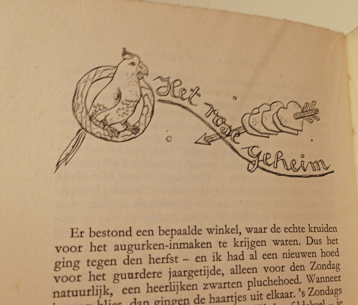 Mary Dorna. Onmaatschappelijke voorkeur.