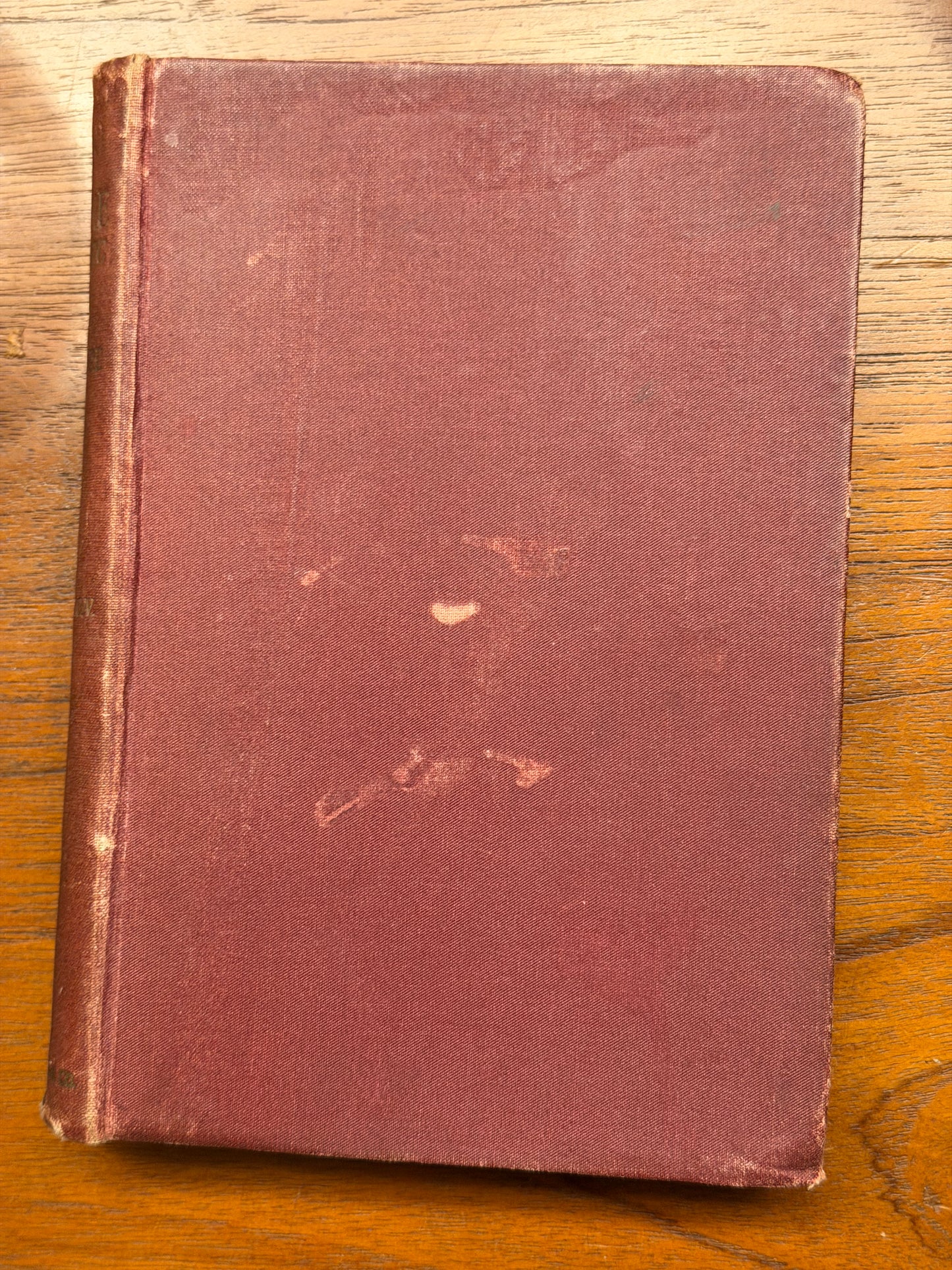 VAIN FORTUNE A NOVEL BY GEORGE MOORE WITH FIVE ILLUSTRATIONS By MAURICE GREIFFENHAGEN. 1895