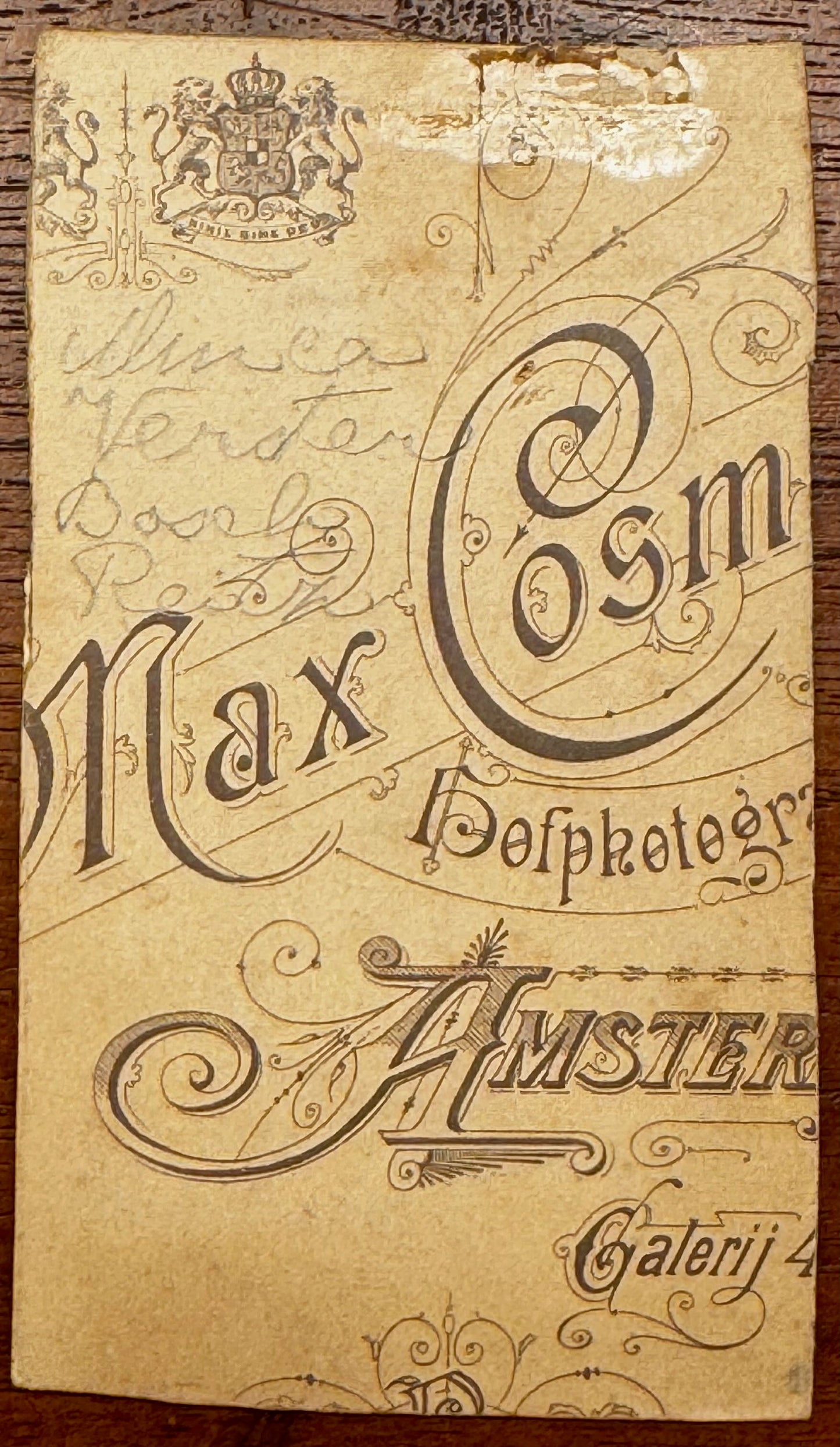[Vrouwelijke kunstenaars. Feminisme]Bosch Reitz[-Verster], Minca (1870-1950) Oorspronkelijk fotografisch portret. Door Firma Max Cosm.Geïdentificeerd in potlood op verso Circa 1895. 11 x 6 cm.