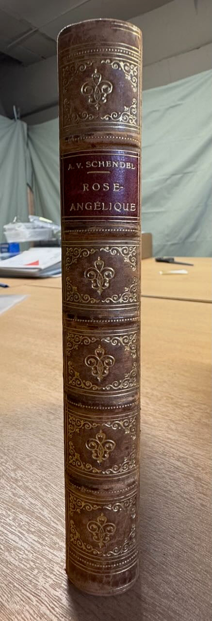 [LUXE] Schendel, Arthur van Rose-Angélique. De droomers van liefde. Amst., Meulenhoff, 1923.