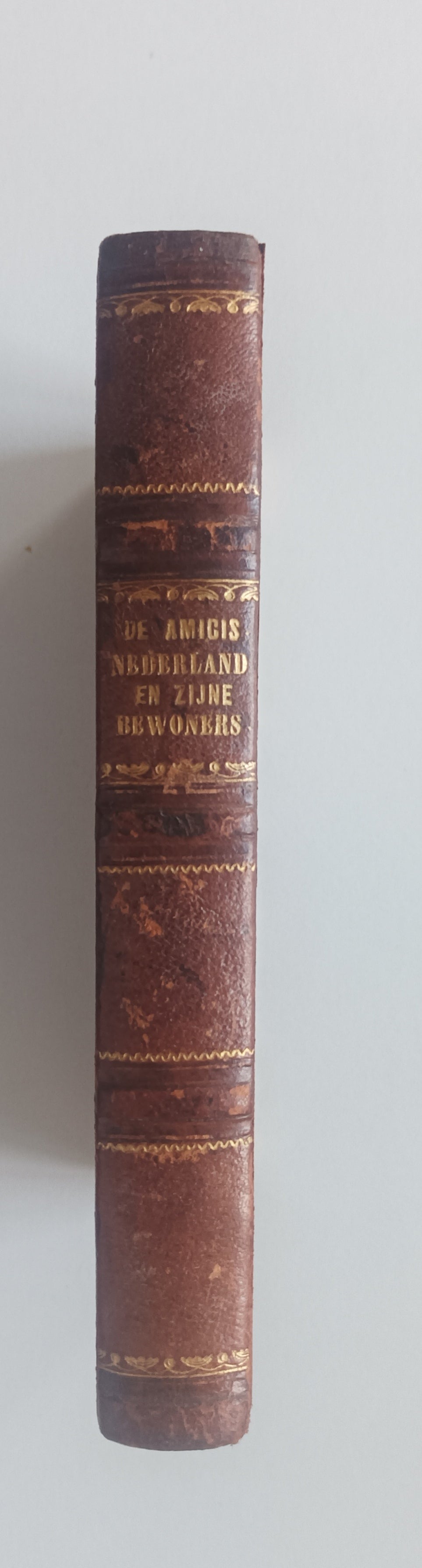 Edmondo de Amicis. Nederland en zijn bewoners. U. h. Italiaansch door D. Lodeesen. Voorrrede van dr. Jan ten Brink.